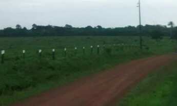 Imagem 6: 56 alqueires a 140 km de Belem por 4.500.000,00 toda no pasto