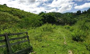 Imagem 3: Fazenda em Uruará/PA