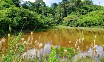 Imagem 5: Fazenda em Uruará/PA