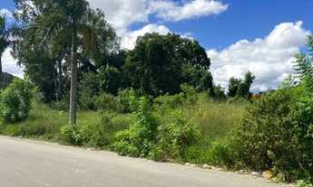 Imagem 3: Terreno 7500m2 atrás Mercado Mart Minas Francisco Bernardino,100% plano