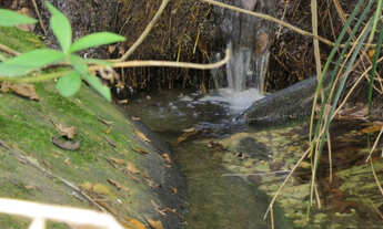 Imagem 4: Área de 85000m2, com nascente e córrego perene só R$110 mil