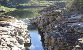 Imagem 6: Área de 85000m2, com nascente e córrego perene só R$110 mil