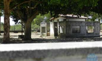 Imagem 5: SãO JOSE DE MIPIBú - Casa Padrão - São José De Mipibu