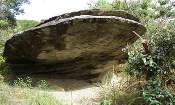 Imagem 7: Área de 85000m2, com nascente e córrego perene só R$110 mil