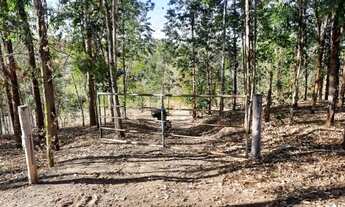 Imagem 4: Chácara de 4.000m em Bonfinópolis-Go