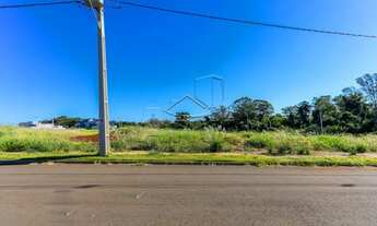 Imagem: Toledo - Lote/Terreno - Vila Industrial