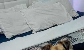 Imagem 2: Wr Pronto p morar, Jardim Casa Amarela em Nova Descoberta