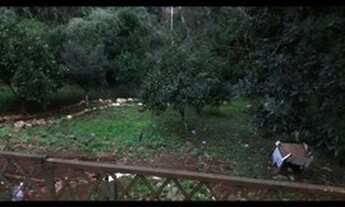 Imagem 2: Casa com terreno em Dois Irmãos