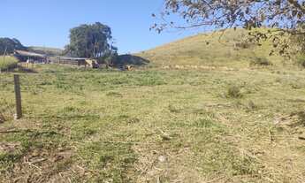 Imagem 7: Fazenda com 250 hectares em Silveiras - São Paulo