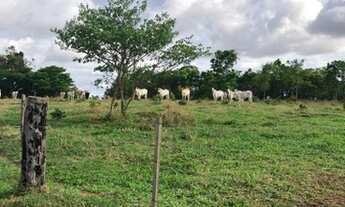 Imagem 3: INOCÊNCIA - RURAL - Zona Rural