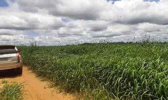 Imagem 6: FAZENDA a venda Norte do TOCANTINS!