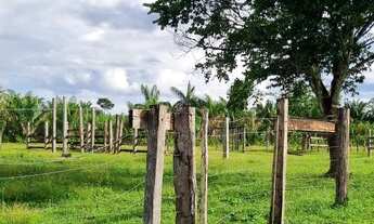Imagem 6: FAZENDA PORTEIRA FECHADA NO CANTÁ