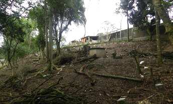 Imagem 6: Viamão - Terreno Padrão - Querência