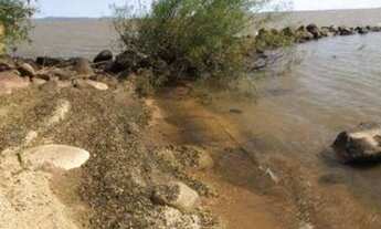 Imagem 2: Lindo sítio no lami c/ 8 hectares com beira de praia de 160 metros em Porto Alegre - RS