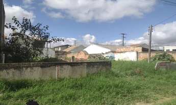 Imagem: Terreno para Venda em São José dos Pinhais