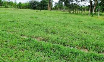 Imagem: FAZENDA PORTEIRA FECHADA NO CANTÁ