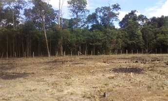 Imagem 4: VENDE-SE TERRENO TARUMÃ-AÇÚ