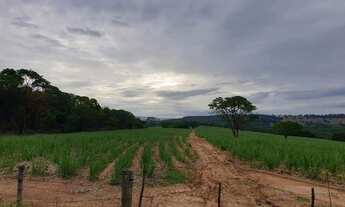 Imagem: Sítio Cajuru em Cana de açúcar