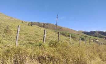 Imagem 3: Fazenda com 250 hectares em Silveiras - São Paulo