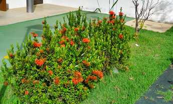 Imagem 2: Lotes em Condomínio Fechado por Apenas 21.990 + Parcelas