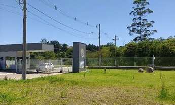 Imagem 6: Viamão - Terreno Padrão - Taruma