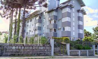 Imagem 2: CANELA - Padrão - Centro