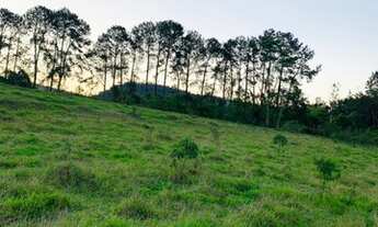 Imagem 2: Jacareí - SP lotes de 1.000m² liberado para construção infraestrutura quase finalizada age