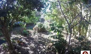 Imagem 3: Terreno (terreno normal