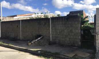 Imagem 4: Terreno 12x30 tabuleiro