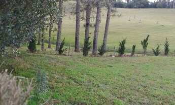 Imagem 4: Rancho Queimado - Chácara - Condomínio Lago Negro