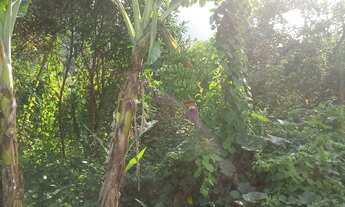 Imagem 4: Terreno Terreno / lote com venda por R$30.000