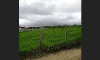 Imagem 3: VENDO TERRENO NA ESTRADA DE SANTA ISABEL/IGARATÁ