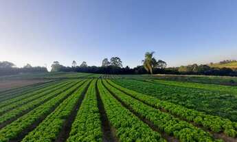 Imagem 4: Terrenos Planos e Limpos Para Sua Casa de Campo em Ibiúna - SP