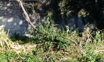 Imagem 5: RIO DE JANEIRO - Loteamento/Condomínio - VARGEM GRANDE