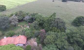 Imagem 6: Porto Feliz-Sp, Sitio 30.000 m²