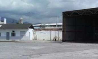 Imagem 6: Alugo Excelente Terreno linear na Penha Rua Do Alho tenho outros com Galpão