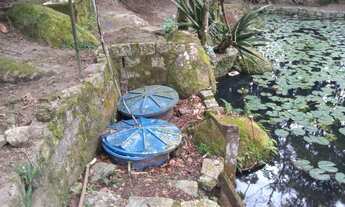 Imagem 5: Chácara em parada de taipas