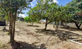 Imagem 6: Vende se está casa em Faro Amazonas