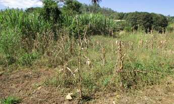 Imagem 2: Lote Terreno / lote com venda por R$85.000