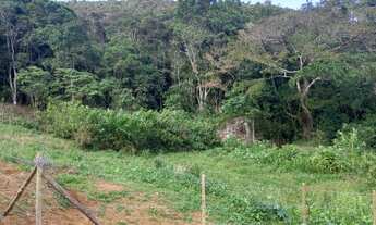 Imagem 5: Terreno totalmente plano e aproveitável