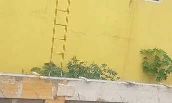 Imagem 4: Excelente terreno balneario das conchas todo murado 356 m2