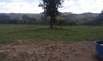 Imagem 5: Vendo Fazenda de 25 Alqueires Escriturada Planaltina Goias Próximo Brasilia DF