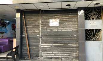 Imagem 2: Loja jardim tropical Nova Iguaçu