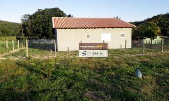 Imagem 5: Fazenda Extra - Região de Crixás-GO ! 136 Alqueires ! Oportunidade !