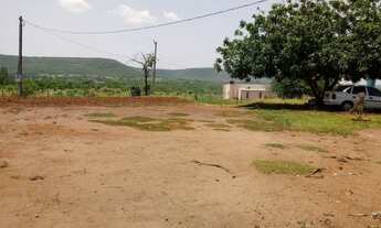 Imagem 3: Lote no assentamento santa monica