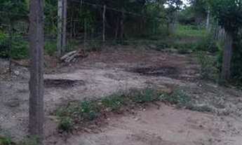 Imagem 5: Lote / terreno em mojó paço do Lumiar