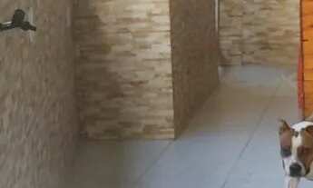 Imagem 2: Alugo casa Apartamento com 2 dormitórios