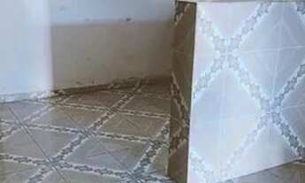 Imagem 3: Alugo casa no albano