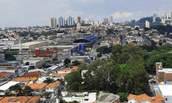 Imagem 4: Apartamento para alugar com 3 dormitórios na vila sonia a 5 min do metrô