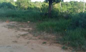 Imagem: Vendo excelente lote na linha verde